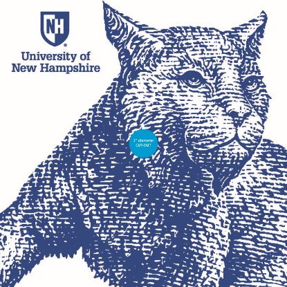 Picture of UNH Admitted Students Grad Cap Sticker Big Cat