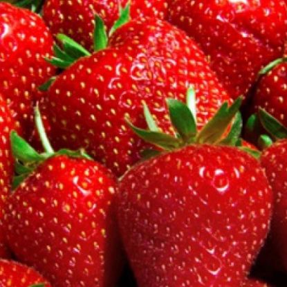 Picture of Small Fruits - Strawberry