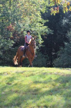 Picture of Trail Ride or Hack the Course