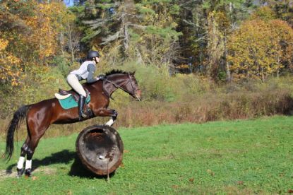 Picture of Cross-Country Schooling