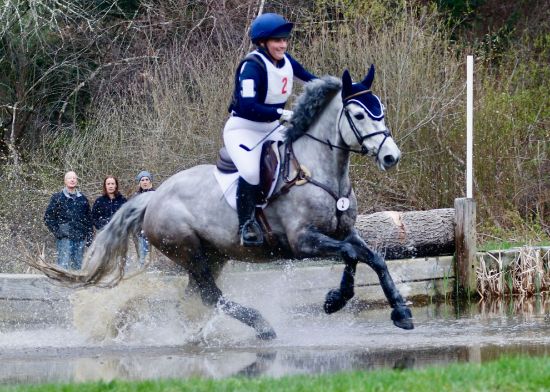 Picture of Equine Schooling Fee - Invoice