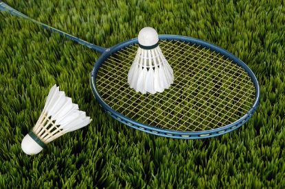 Picture of Recreational Badminton