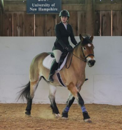 Picture of IHSA Team Rider Fee